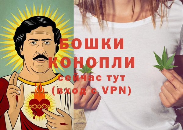 стаф Кулебаки