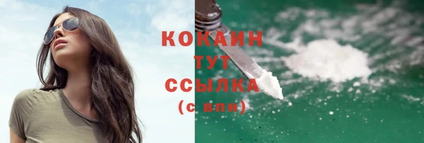 тгк Краснослободск